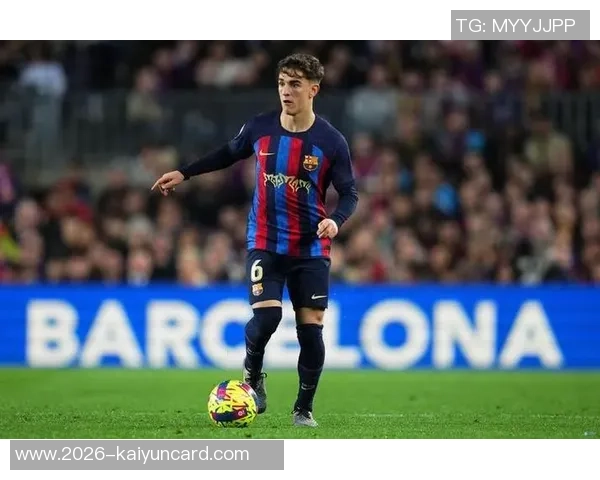 加维恢复进展顺利有望在明年二月重返赛场